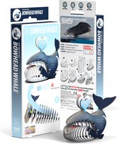 EUGY 3D - Groenlandse Walvis