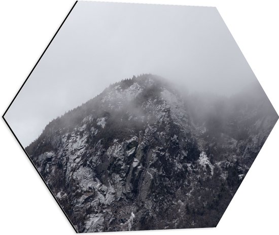 Dibond Hexagon - Hoge Berg met Bomen tussen de Mist - 60x52.2 cm Foto op Hexagon (Met Ophangsysteem)