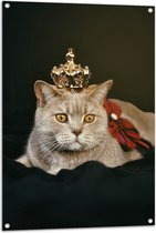 Tuinposter – Kat als Koning met Kroontje - 70x105 cm Foto op Tuinposter (wanddecoratie voor buiten en binnen)