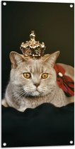Tuinposter – Kat als Koning met Kroontje - 50x100 cm Foto op Tuinposter (wanddecoratie voor buiten en binnen)