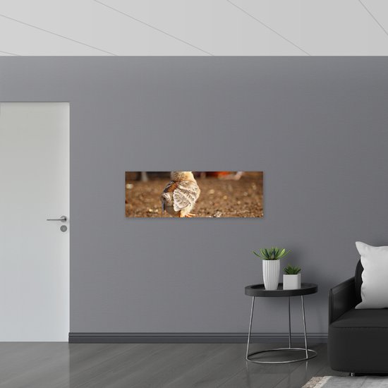 WallClassics - Drapeau - Poussin qui marche - 120x40 cm Photo sur Drapeau Polyester