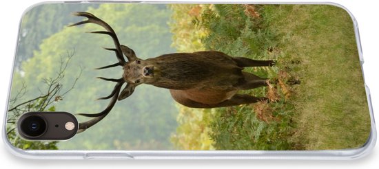 Coque iPhone XR - Red Deer - Nature - Vert - Coque de téléphone en Siliconen