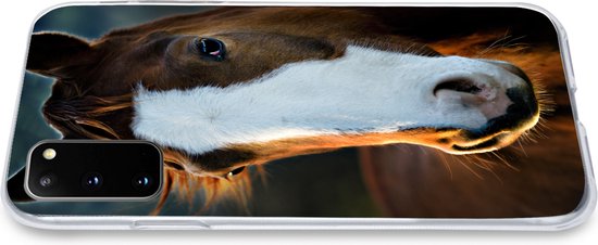 Coque Samsung Galaxy S20 - Cheval - Tête - Lumière - Coque de téléphone en Siliconen