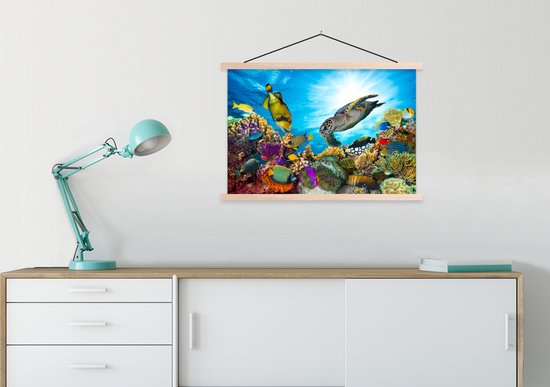 Affiche scolaire - Tortue - Mer - Corail - 90x60 cm - Lattes vierges