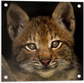 WallClassics - Tuinposter – Bruine Lynx - 50x50 cm Foto op Tuinposter (wanddecoratie voor buiten en binnen)