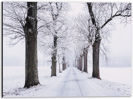 Dibond - Bomen langs Besneeuwd Bospad in Sneeuw Landschap - 40x30 cm Foto op Aluminium (Met Ophangsysteem)