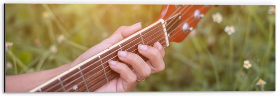 Dibond - Close-up van Vrouwenhand op Bruine Gitaar in Bloemenveld - 60x20 cm Foto op Aluminium (Met Ophangsysteem)