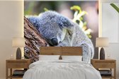 Behang - Fotobehang Koala - Boomstam - Knuffel - Kids - Jongens - Meiden - Breedte 240 cm x hoogte 240 cm