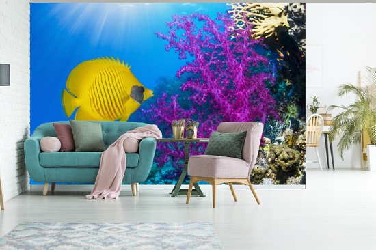 Papier peint Papier peint photo en vinyle - Un papillon corail jaune à côté d'un corail mou joliment coloré dans la mer Rouge largeur 390 cm x hauteur 260 cm - Tirage photo sur papier peint (disponible en 7 tailles)
