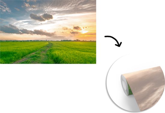 Papier peint Papier peint photo en vinyle - Prairie en Thaïlande largeur 390 cm x hauteur 260 cm - Tirage photo sur papier peint (disponible en 7 tailles)