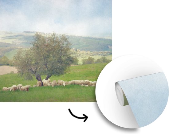 Papier peint photo peint photo Olijfboom - groupe de moutons près de l'olivier Papier fotobehang photo vinyle largeur 220 cm x hauteur 220 cm - Tirage photo sur papier peint vinyle (disponible en 7 tailles) - chambre / salon / bureau