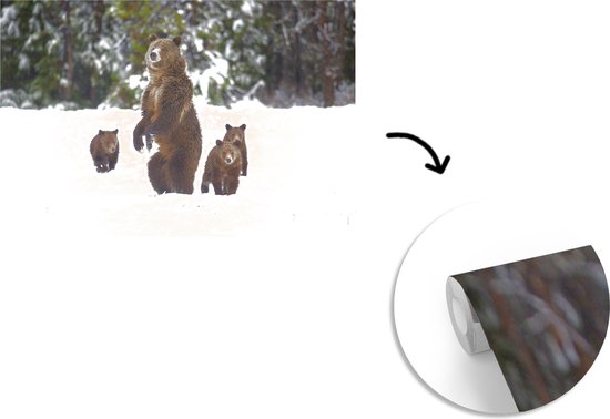 Papier peint - Papier peint photo peint grizzly - Largeur 330 cm x hauteur 220 cm