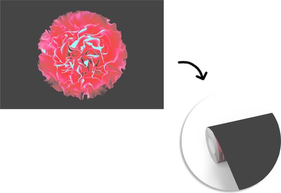 Papier peint photo peint photo vinyle - Oeillet rose sur fond noir largeur 330 cm x hauteur 220 cm - Tirage photo sur papier peint (disponible en 7 tailles)