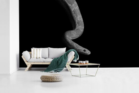 Behang - Fotobehang Dieren - Slang - Zwart - Wit - Portret - Breedte 465 cm x hoogte 260 cm