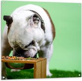 WallClassics - Tuinposter – Hondje aan het Eten voor Groene Achtergrond - Buldog - 100x100 cm Foto op Tuinposter (wanddecoratie voor buiten en binnen)