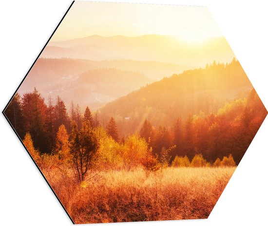 Dibond Hexagon - De Zon boven een Berglandschap - 60x52.2 cm Foto op Hexagon (Met Ophangsysteem)