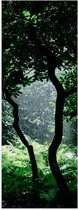 Poster Glanzend – Stortbui in Begroeid Regenwoud - 20x60 cm Foto op Posterpapier met Glanzende Afwerking