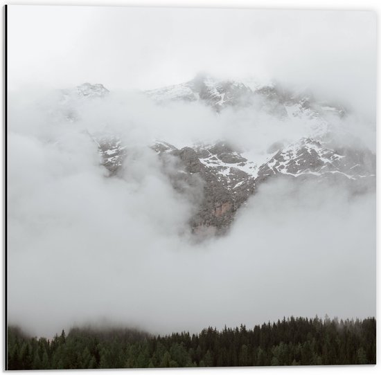 Dibond - Bos aan de Rand van Hoge Bergen in de Mist - 50x50 cm Foto op Aluminium (Wanddecoratie van metaal)