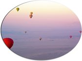 WallClassics - Dibond Ovaal - Ballonvaarten in Verschillende Luchtballonnen - 68x51 cm Foto op Ovaal (Met Ophangsysteem)