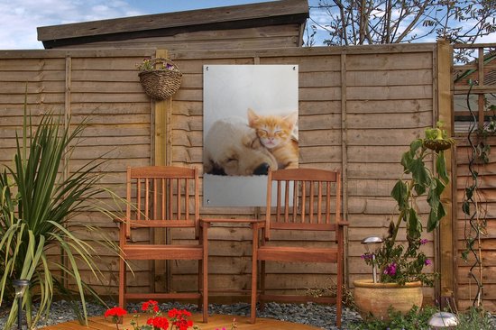 Décoration de jardin Animaux - Chien - Chaton - Rouge - 40x60 cm - Poster de jardin