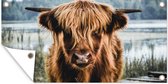 Schuttingposter Koeien - Schotse hooglander - Bruin - Natuur - 200x100 cm - Tuindoek