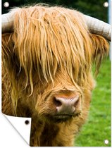 Muurdecoratie buiten Schotse hooglander - Gras - Vacht - Dieren - Koe - 120x160 cm - Tuindoek - Buitenposter