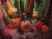 Europalms - Halloween - Decoratie - Versiering - Accesoires - pompoen doodshoofd 26cm
