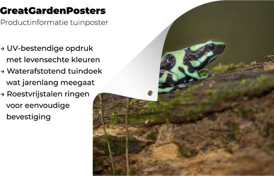 Groene pijlgifkikker met zwarte patronen op een vochtig, mosbegroeid stuk hout.  UV-bestendig, waterafstotend, met roestvrijstalen ringen.