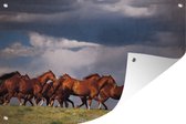 Tuinposter Kudde wilde mustang paarden - 130x80 cm - Wanddecoratie Buiten - Tuinposter - Tuindoek - Schuttingposter - Tuinschilderij