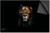 Animaux - Lion sur fond noir