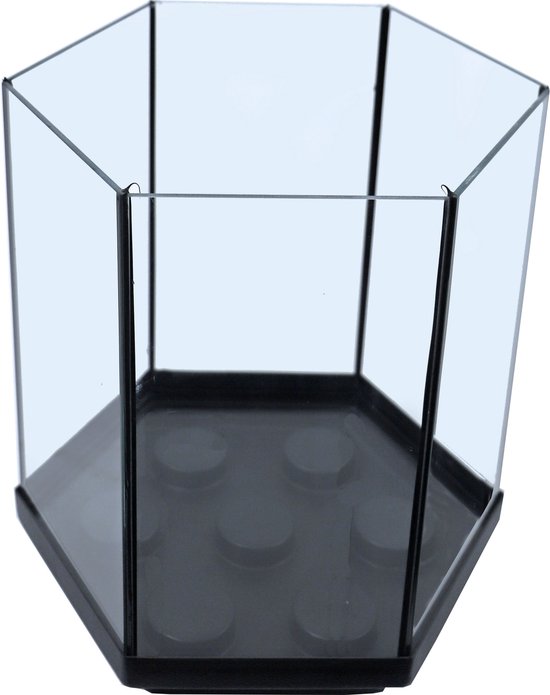 Boon aquarium Hexagon met zwarte kit, 29x30 cm.