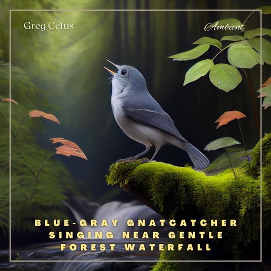 Blue-gray Gnatcatcher Singing Near Gentle Forest Waterfall - cover