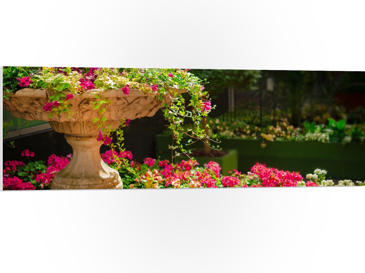 PVC Schuimplaat - Felroze Bloemen uit Fontein - 120x40 cm Foto op PVC Schuimplaat (Met Oph