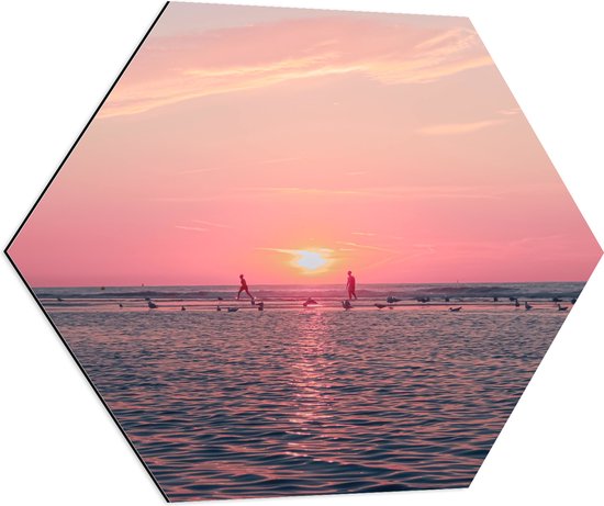 Dibond Hexagon - Roze Zonsondergang aan Zee met Meeuwen - 70x60.9 cm Foto op Hexagon (Met Ophangsysteem)