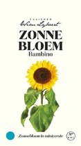 Zonnebloem Bambino - Zaaigoed Wim Lybaert