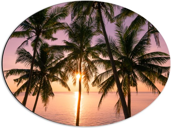 Dibond Ovaal - Tropische Palmbomen voor Oceaan en Zonsondergang - 56x42 cm Foto op Ovaal (Met Ophangsysteem)