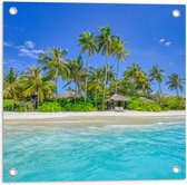 Tuinposter – Hutjes op het Strand met Palmbomen bij Mooie Zee - 50x50 cm Foto op Tuinposter (wanddecoratie voor buiten en binnen)