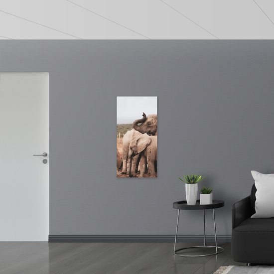 WallClassics - Acrylglas - Kudde Olifanten in Modder Landschap - 50x100 cm Foto op Acrylglas (Met Ophangsysteem)