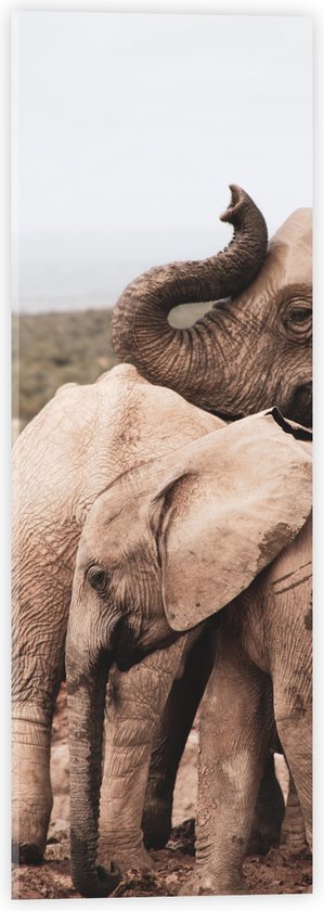 WallClassics - Verre Acrylique - Troupeau d'Éléphants dans un Paysage de Boue - 20x60 cm Photo sur Verre Acrylique (avec système de suspension)
