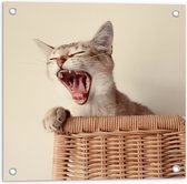 WallClassics - Tuinposter – Gapende Kitten in Rieten Mand - 50x50 cm Foto op Tuinposter (wanddecoratie voor buiten en binnen)