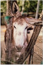 Poster Glanzend – Ezel tussen Twee Boomstammen - 40x60 cm Foto op Posterpapier met Glanzende Afwerking