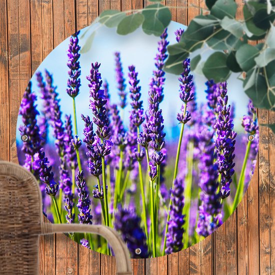 Ronde Tuinposter Lavendel