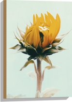 WallClassics - Hout - Openslaande Gele Bloem - 40x60 cm - 9 mm dik - Foto op Hout (Met Ophangsysteem)