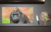 Inductieplaat Beschermer - Westelijke Laagland Gorilla van Dichtbij - 90x52 cm - 2 mm Dik - Inductie Beschermer van Vinyl