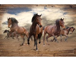 Fotobehang - Vlies Behang - Galloperende Paarden op Houten Planken - 208 x 146 cm