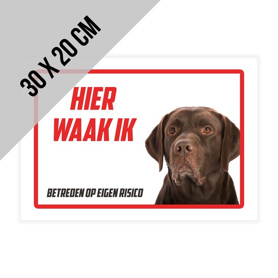 Bord, terracotta, groen blad, 17 cm online kopen?| Dille & Kamille
