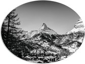 WallClassics - PVC Schuimplaat Ovaal - Grote Boom voor Sneeuwbergen (zwart/ wit) - 108x81 cm Foto op Ovaal (Met Ophangsysteem)