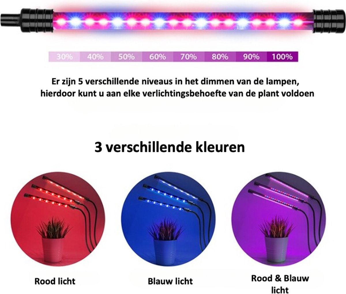 Groeilamp 600 watt - full spectrum - 31 x 21 cm – a sunny day