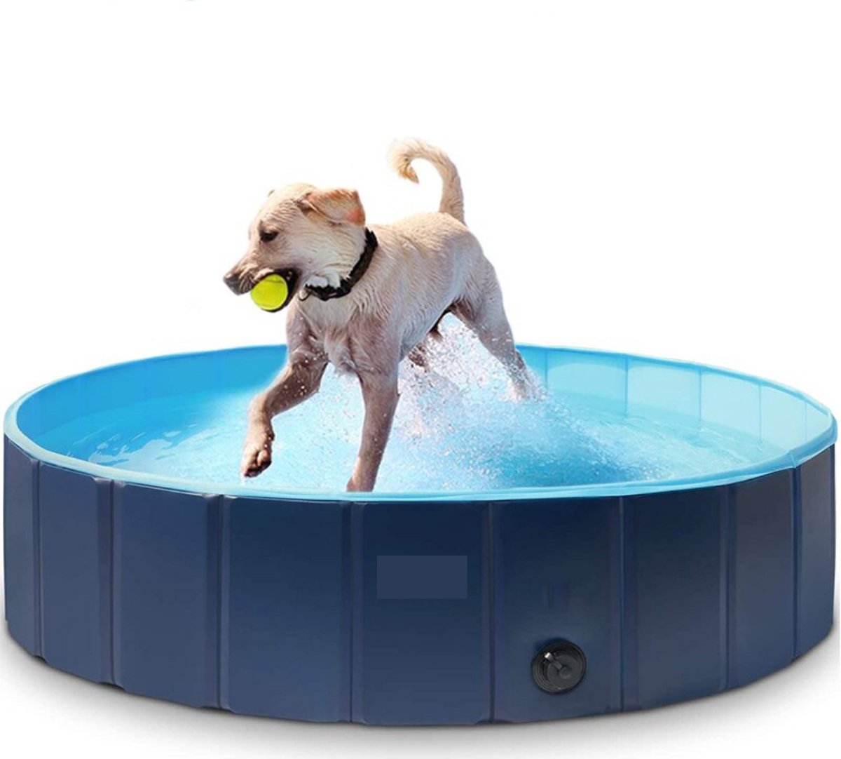Currero Hondenzwembad - Hondenbad - Opvouwbaar - Kinderzwembad - 160×30 CM - Blauw