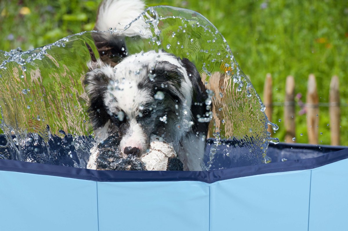 maxxpro Hondenzwembad - 160 x 30 CM - Grote Hondenrassen - Opvouwbaar Honden Bad - Anti-Slip Bodem - met Leegloopventiel - Blauw thumbnail 4